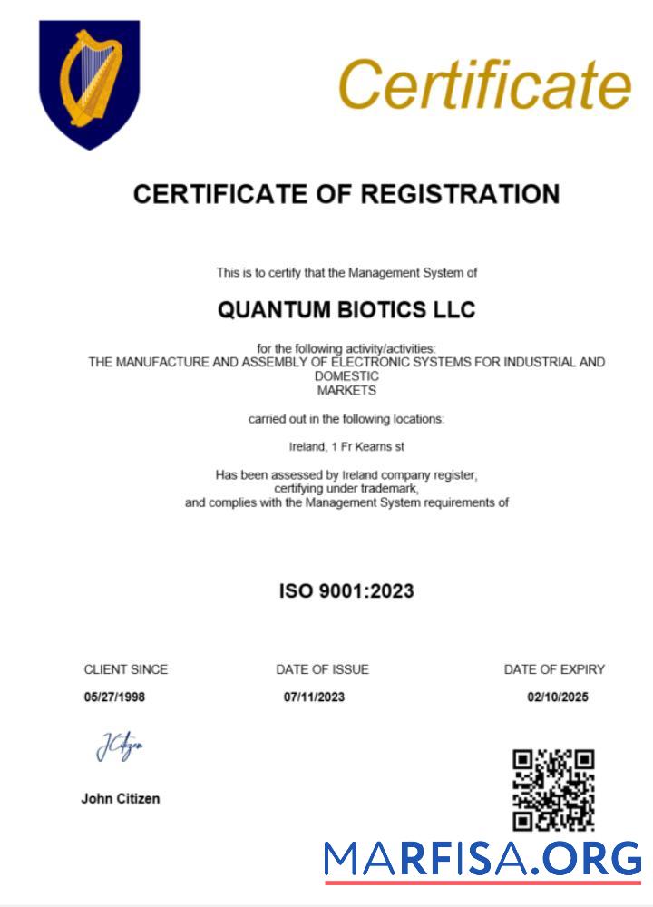 Downloadable Ireland certificate of registration Word and PDF template